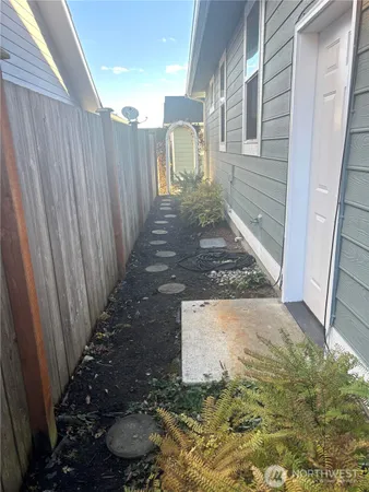 a view of a backyard with plants