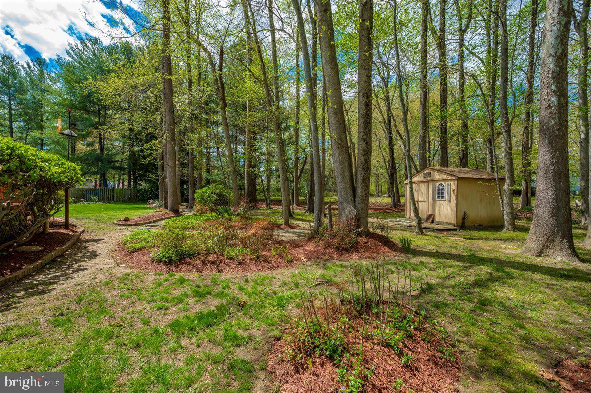 1402 Partridge Lane Bowie, MD 20721 - Photo 51 of 56 a view of a backyard with potted plants and large trees