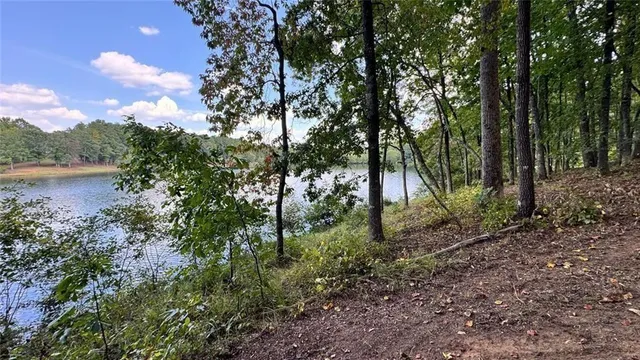 a view of a yard with lots of green space