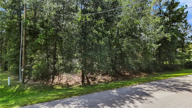 a view of a yard with a tree