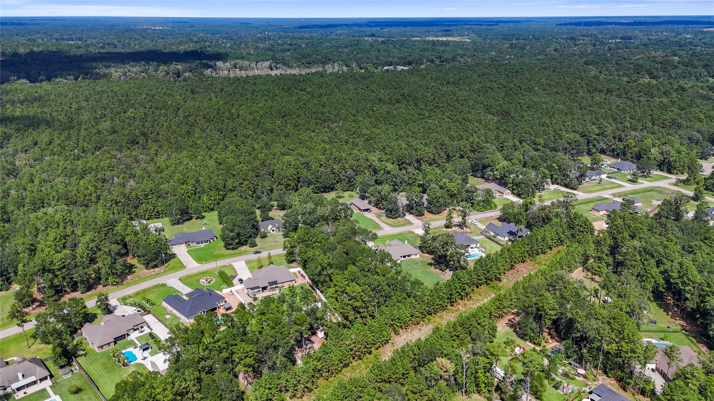 27724 Rio Blanco Drive Splendora, TX 77372 - Photo 9 of 13 an aerial view of a houses with a yard