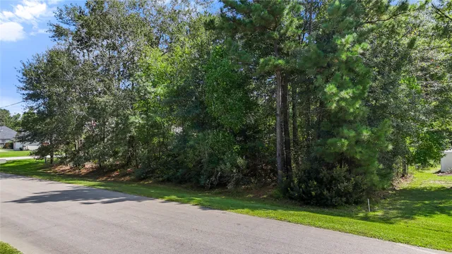 a view of outdoor space and yard