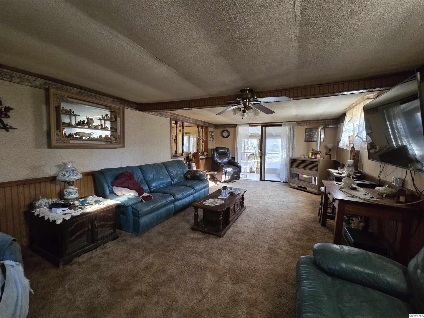 2219 North 1350th Avenue Camp Point, IL 62320 - Photo 3 of 16 a living room with furniture and a flat screen tv