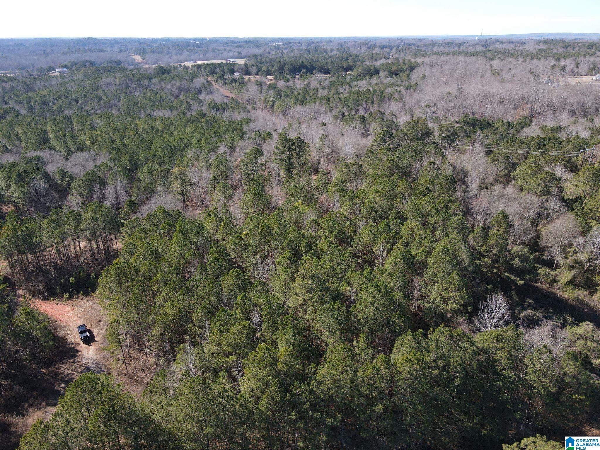 0 County Road 18, Unit 1 Roanoke, AL 36274 - Photo 5 of 6