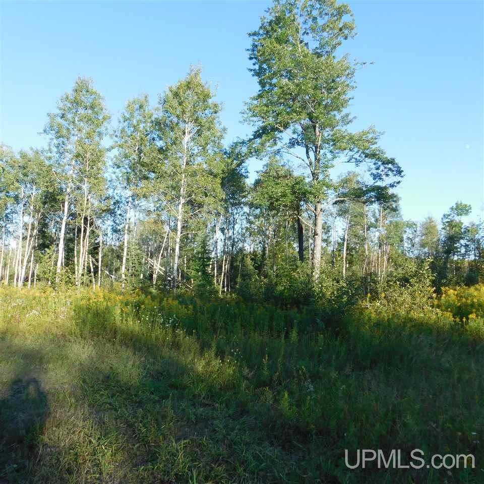 Tbd Off Murray Road Perronville, MI 49873 - Photo 26 of 27