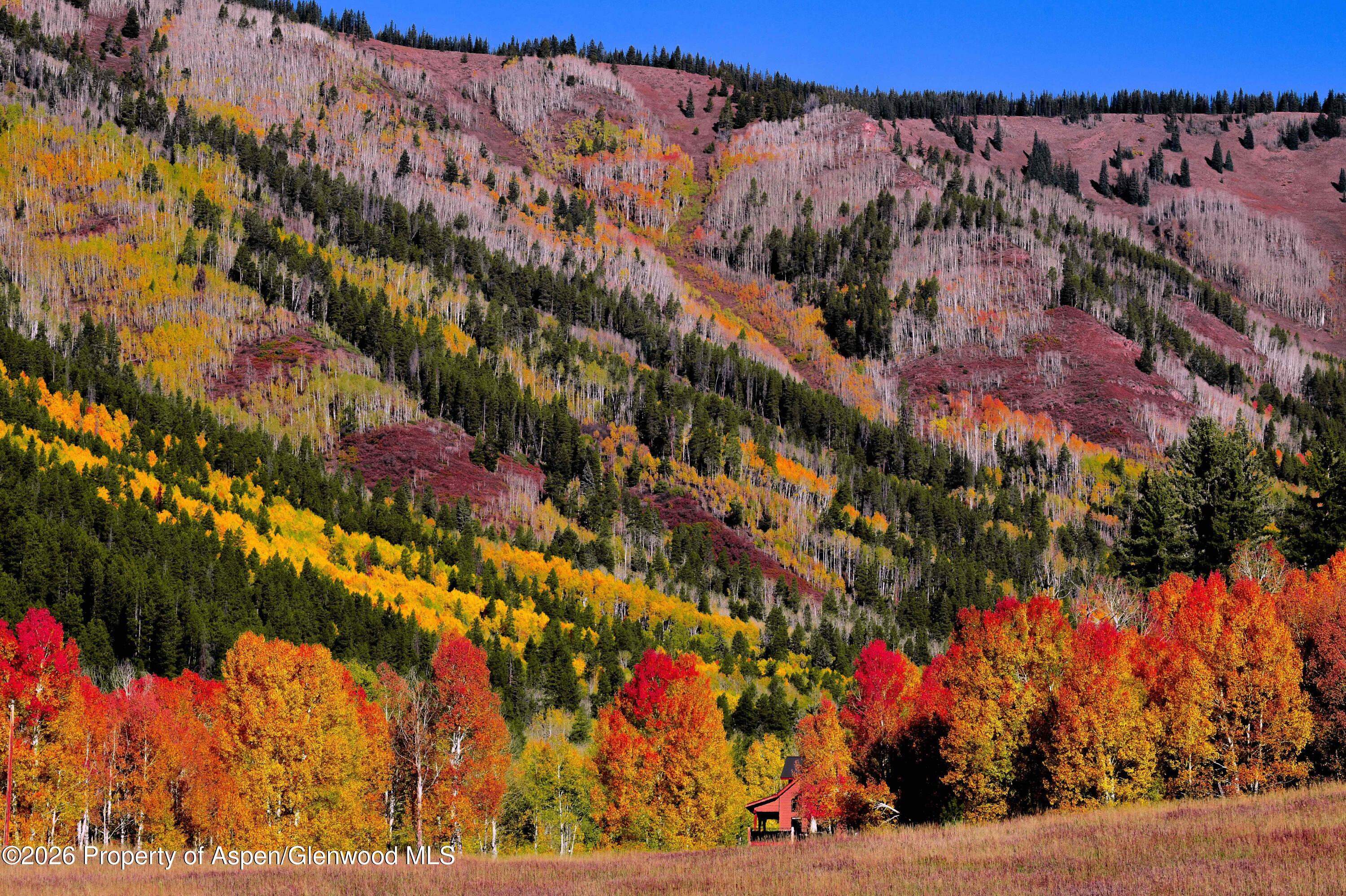 294 Ruedi Creek Road Basalt, CO 81621 - Photo 30 of 30 Colorful Scenery