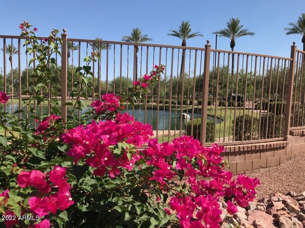 4777 South Fulton Ranch Boulevard, Unit 1027 Chandler, AZ 85248 - Photo 35 of 36 Beautiful landscaping!