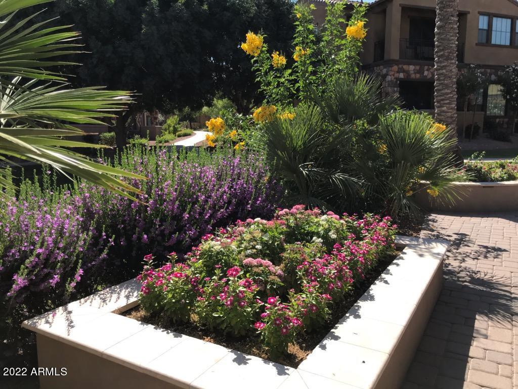 4777 South Fulton Ranch Boulevard, Unit 1027 Chandler, AZ 85248 - Photo 36 of 36 Year-round beauty!