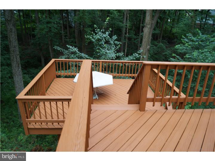100 Dayleview Road Berwyn, PA 19312 - Photo 11 of 11 Deck