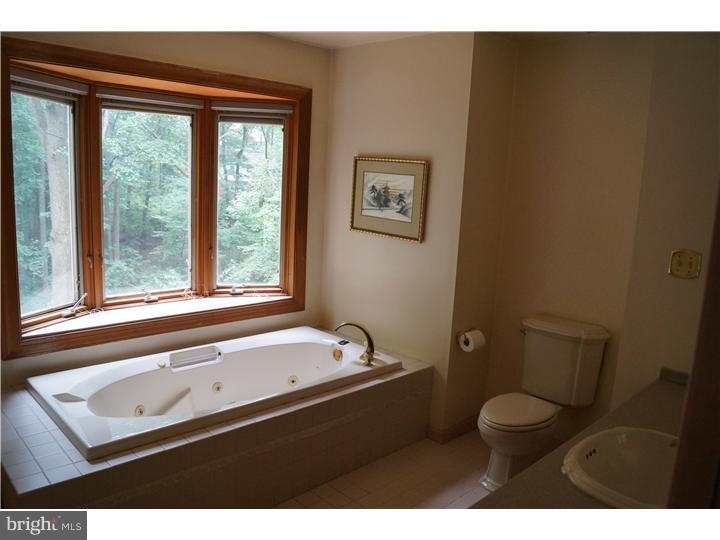 100 Dayleview Road Berwyn, PA 19312 - Photo 9 of 11 Master Bathroom