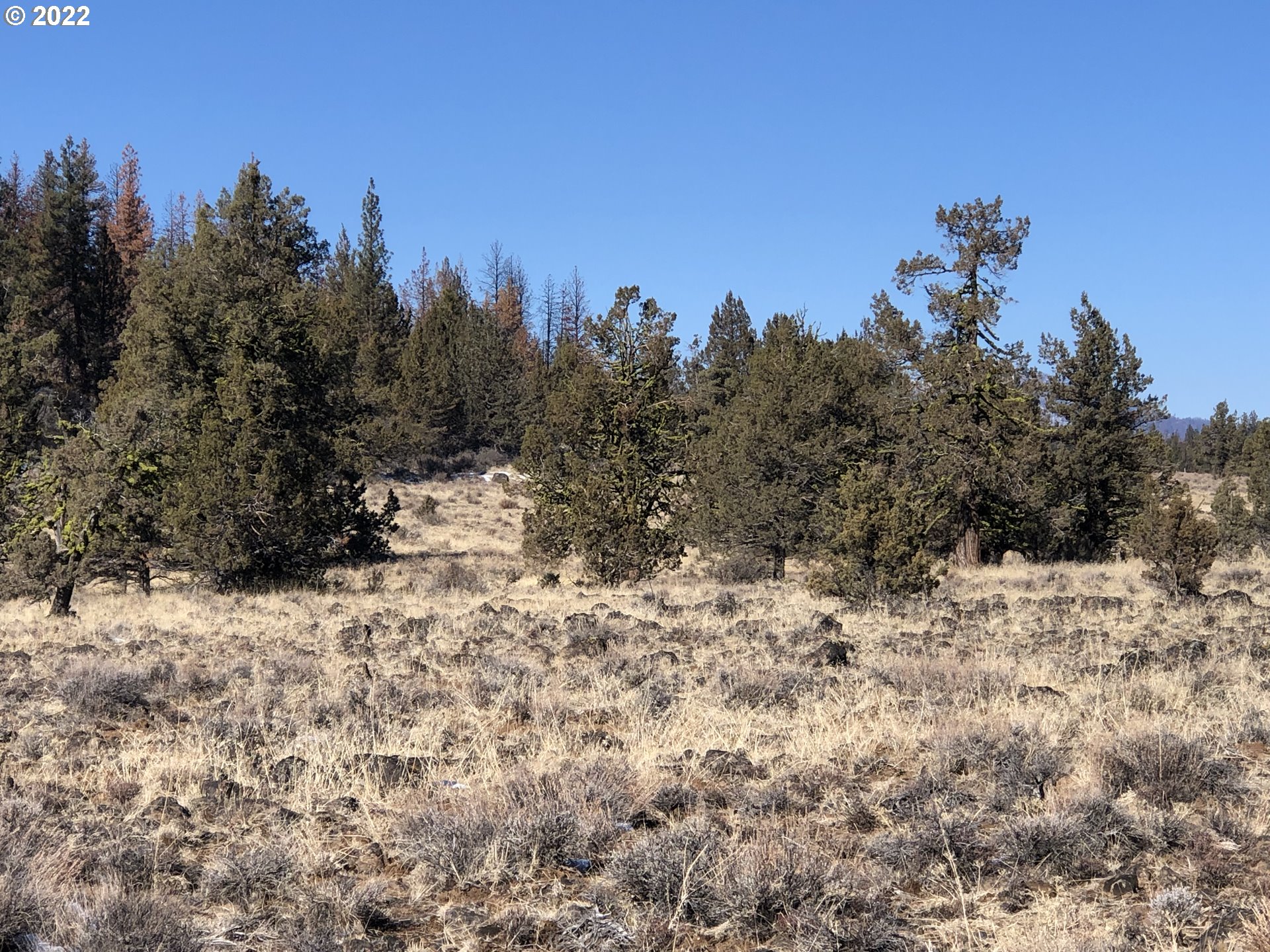 Allynpine Road, Unit 15 Sprague River, OR 97639 - Photo 1 of 14 Gallery Image 1