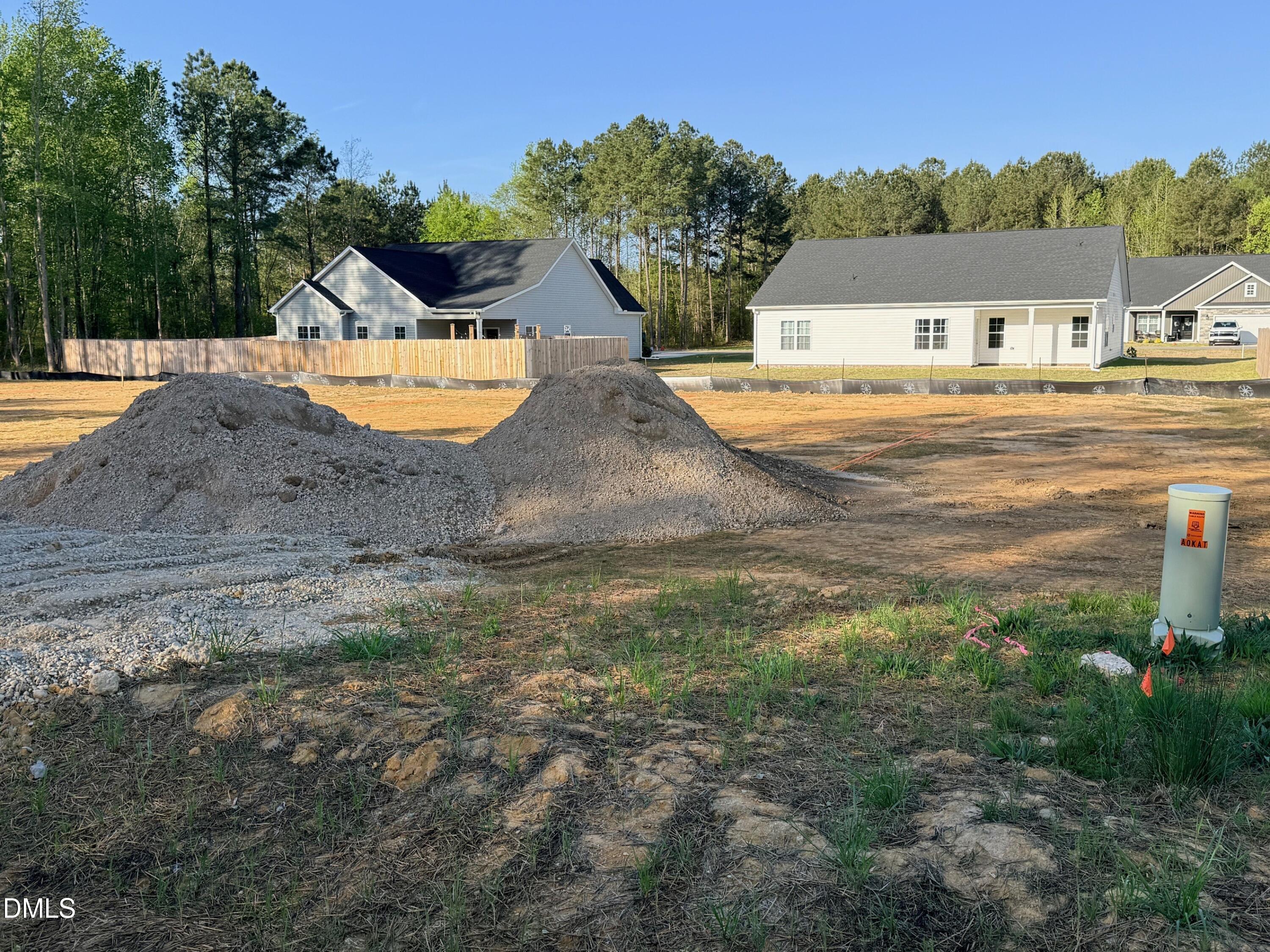 48 Loganberry Avenue Bunnlevel, NC 28323 - Photo 3 of 8