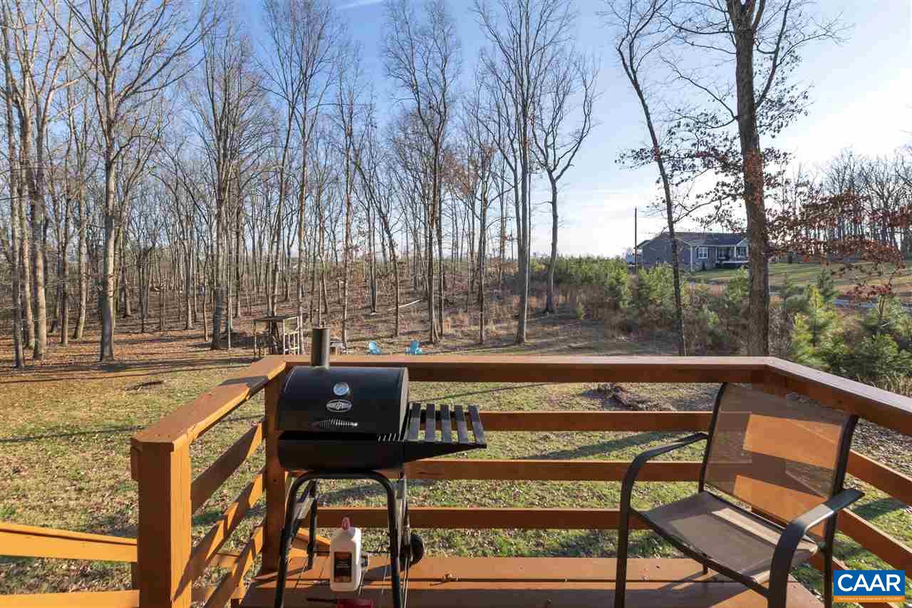 723 Nahor Manor Road Palmyra, VA 22963 - Photo 31 of 37 Gallery Image 31