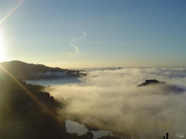 $3,500 | 45 Harbor Oak Drive, Unit 22, Tiburon, CA 94920