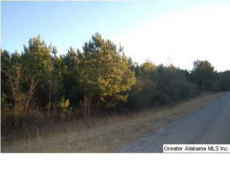 66 County Road, Unit 50 Woodland, AL 36280 - Photo 11 of 12