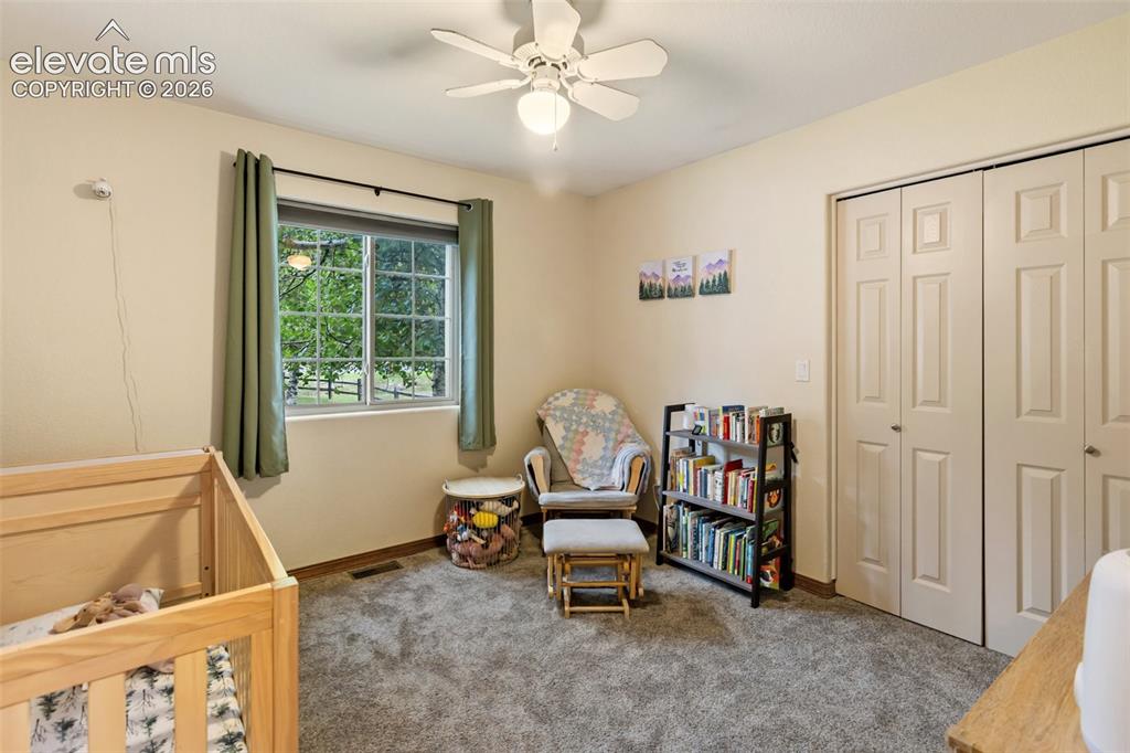 500 County Road Woodland Park, CO 80863 - Photo 31 of 47