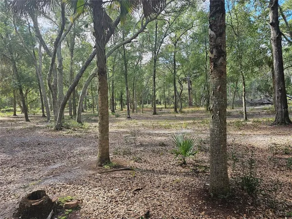 $259,900 | 45070 Wild Acres Trail, DeLand, FL 32720