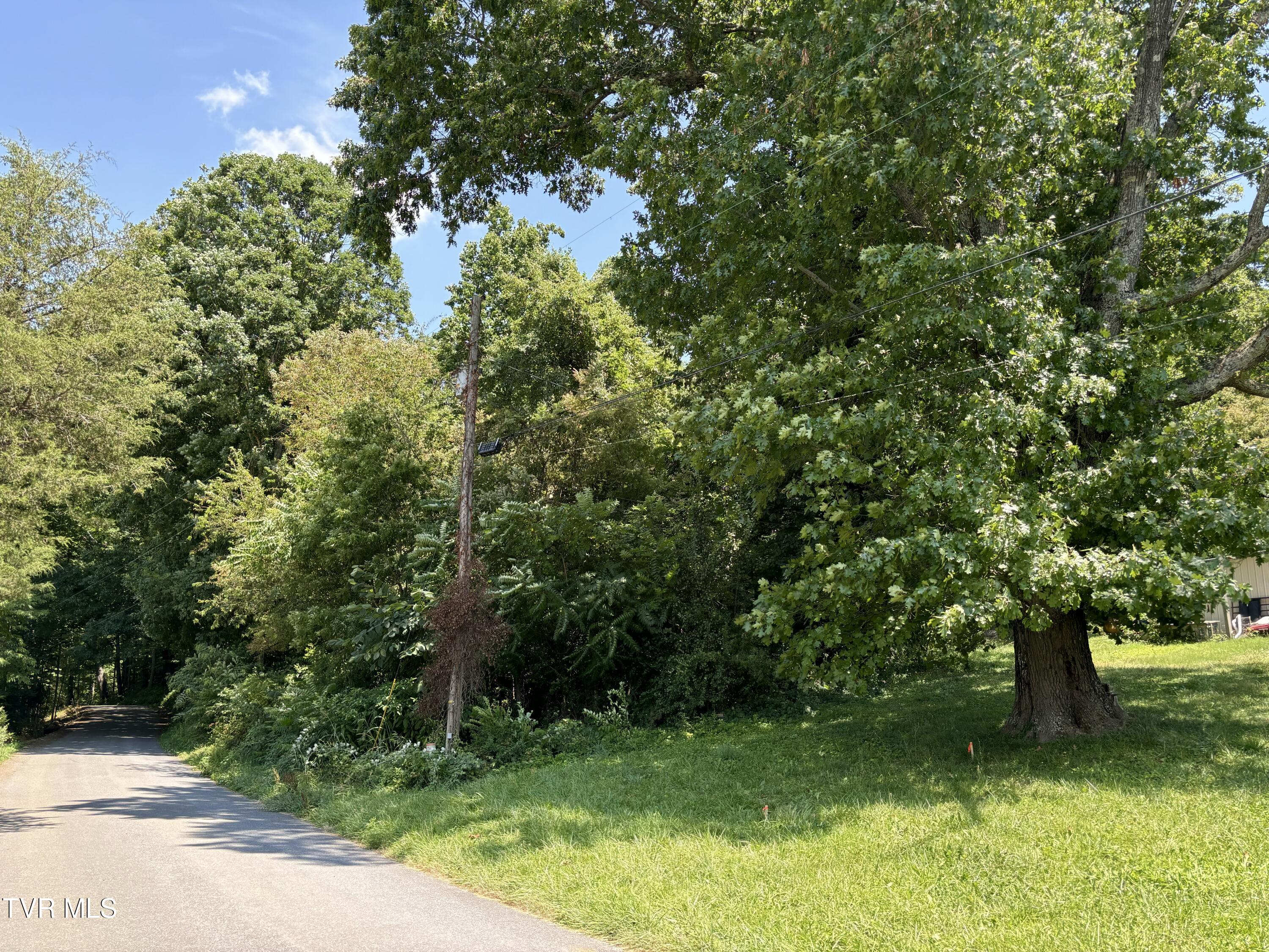 0 Hicks Road Jonesborough, TN 37659 - Photo 1 of 2 IMG_5732