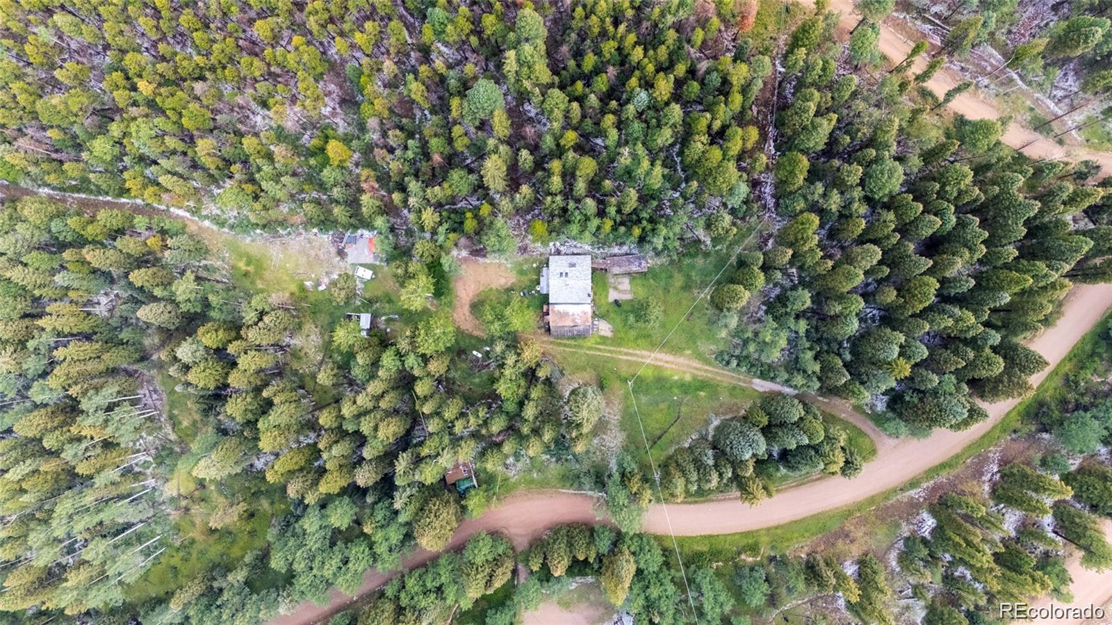 11173 Barney Gulch Road Conifer, CO 80433 - Photo 11 of 16 a view of a garden from a bench