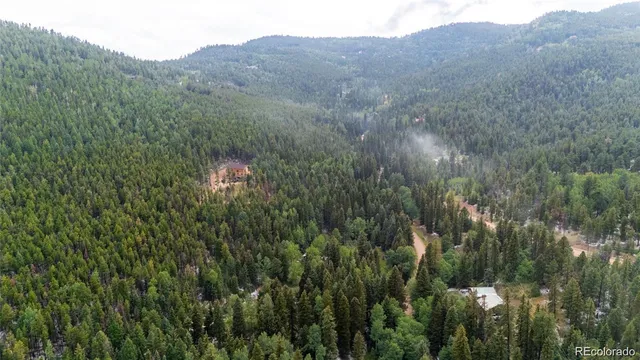 a view of a lush green hillside and a houses