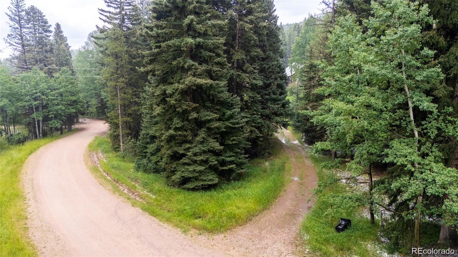 11173 Barney Gulch Road Conifer, CO 80433 - Photo 4 of 16 a view of a lake with huge green field and trees