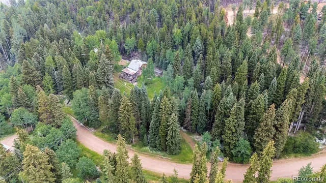 a view of a forest with a houses