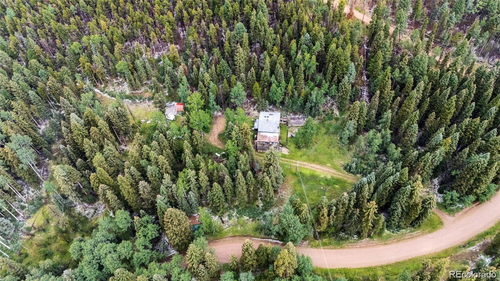 11173 Barney Gulch Road Conifer, CO 80433 - Photo 10 of 16 a view of a garden with plants and large trees