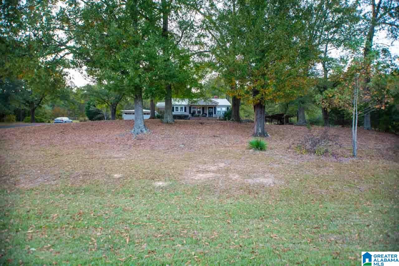 274 Hepzibah Road Talladega, AL 35160 - Photo 49 of 50