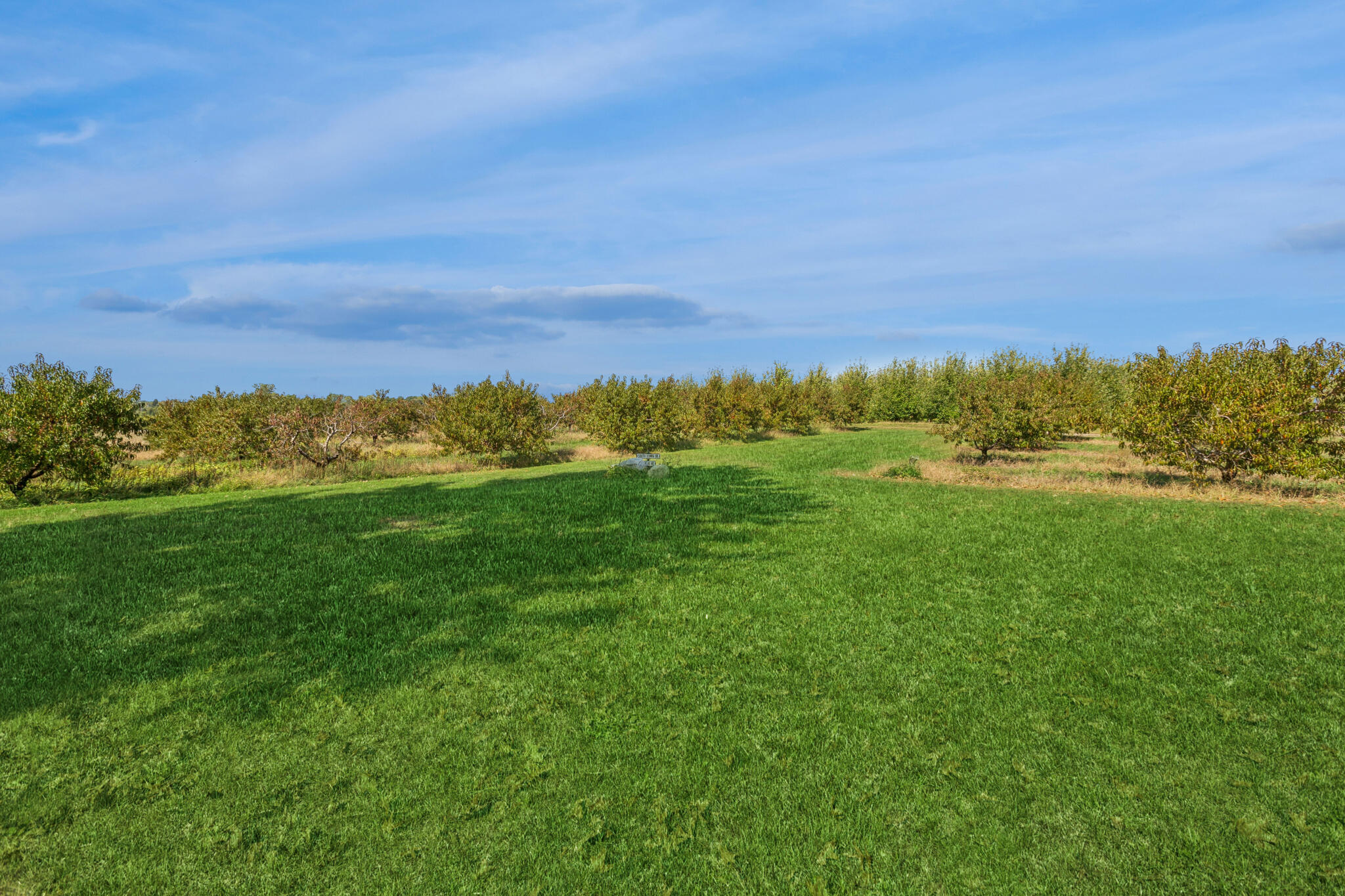 1360 Friday Road Coloma, MI 49038 - Photo 33 of 50 249