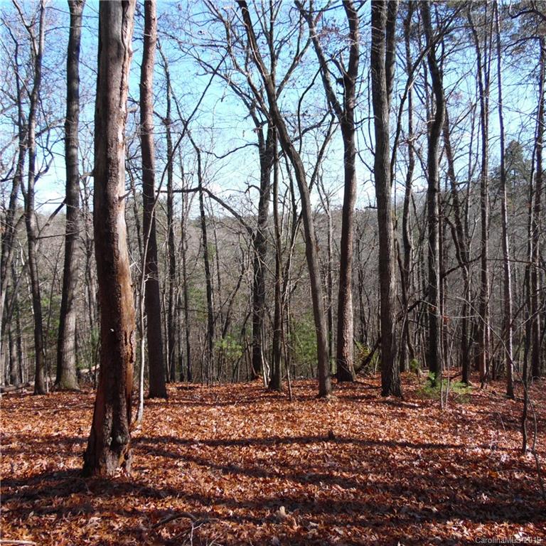 24 James View Road, Unit 24 Marion, NC 28752 - Photo 3 of 16 Gallery Image 3