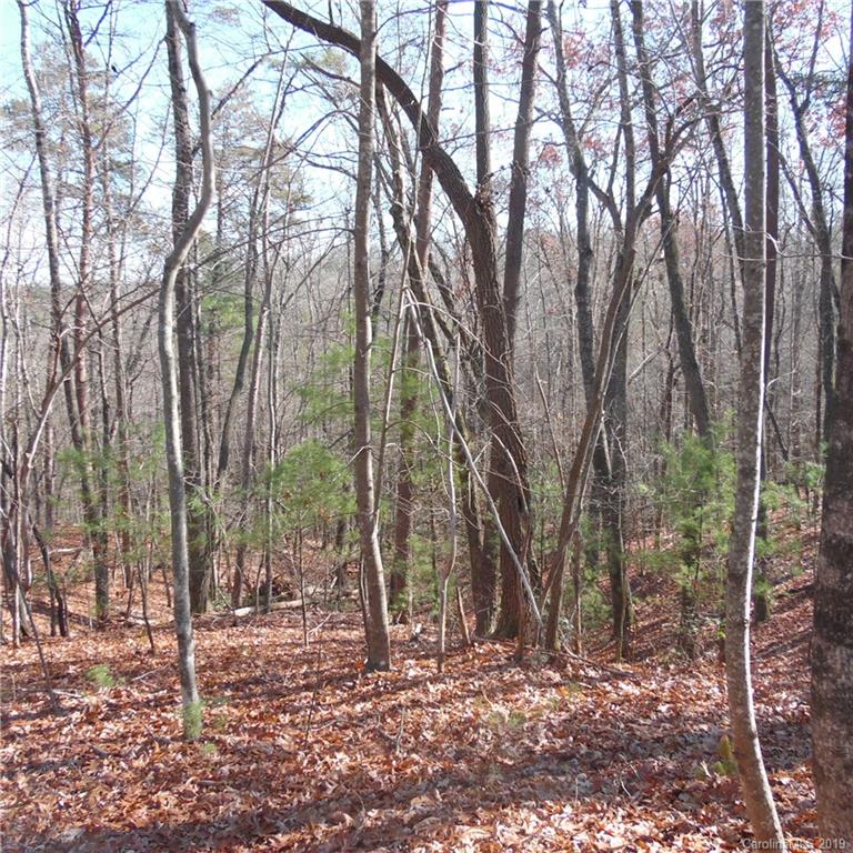24 James View Road, Unit 24 Marion, NC 28752 - Photo 4 of 16 Gallery Image 4