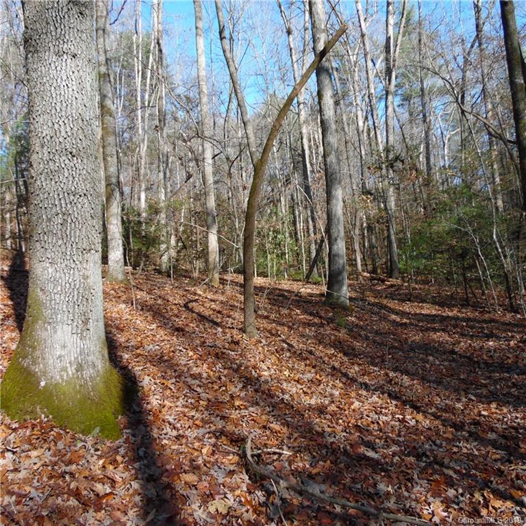 24 James View Road, Unit 24 Marion, NC 28752 - Photo 6 of 16 Gallery Image 6