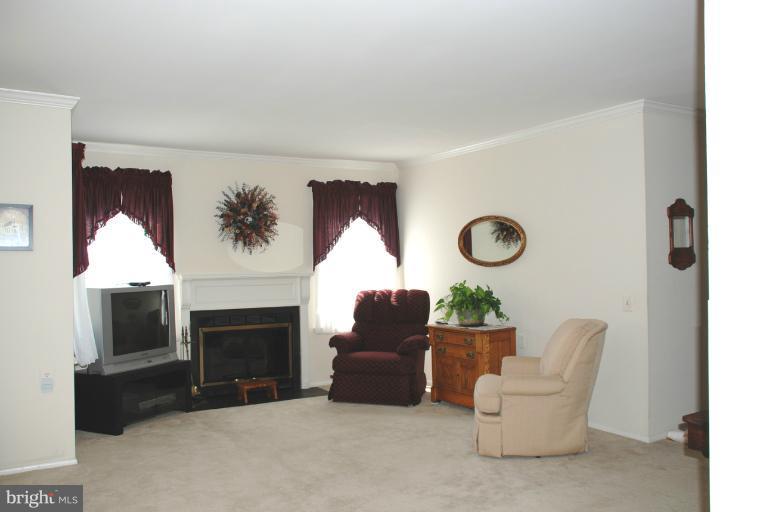 7091 Catalpa Road Frederick, MD 21703 - Photo 18 of 30 Decorative Fireplace
