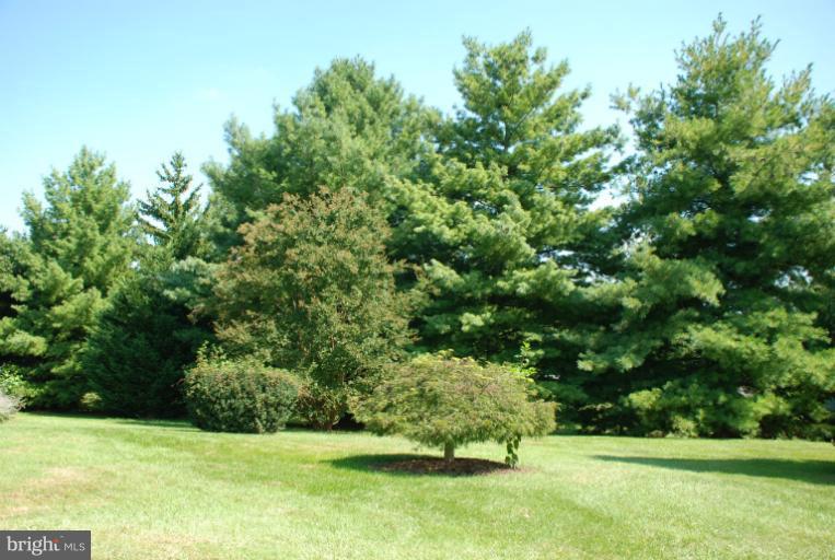 7091 Catalpa Road Frederick, MD 21703 - Photo 23 of 30 View from house