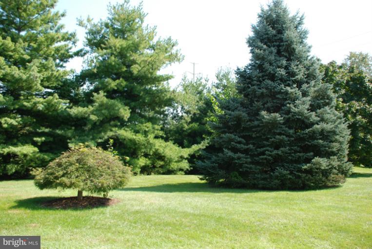 7091 Catalpa Road Frederick, MD 21703 - Photo 24 of 30 Serene view from patio