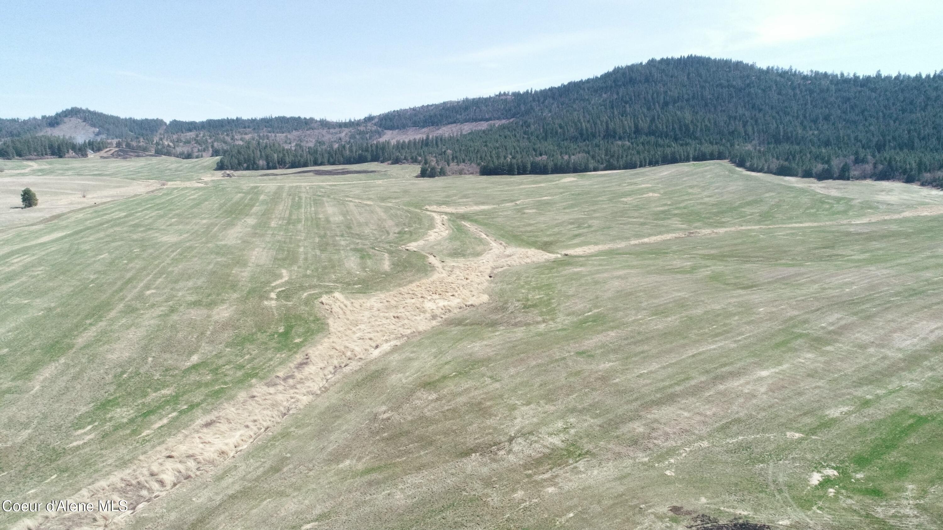 Lot 1 Mundt Road Plummer, ID 83851 - Photo 6 of 9 tempImageJlSHqc