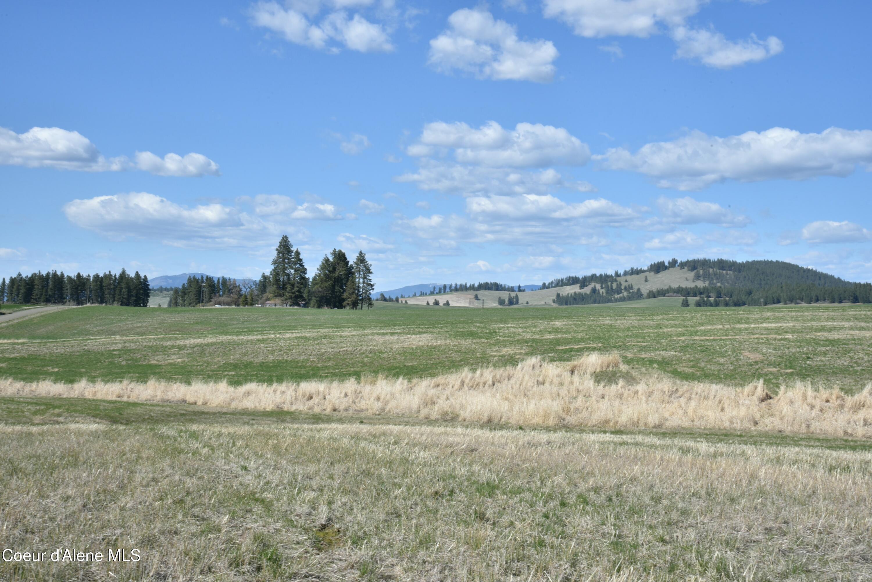 Lot 1 Mundt Road Plummer, ID 83851 - Photo 8 of 9 tempImage0cG9xU