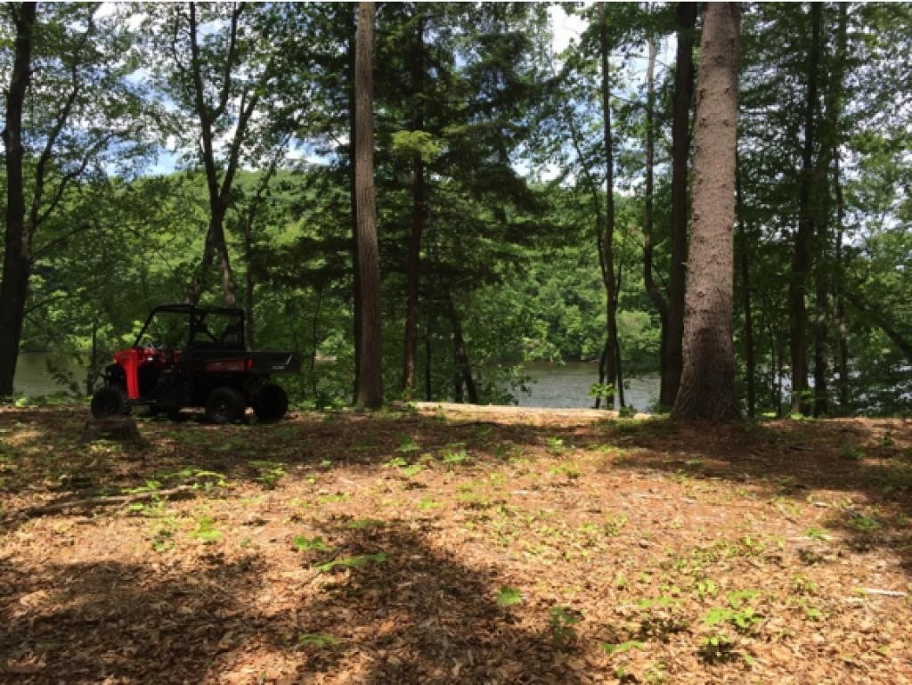 562 River Road Westmoreland, NH 03467 - Photo 22 of 30