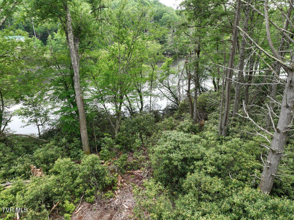 1764 Ripshin Mountain Road, Unit 53 Roan Mountain, TN 37687 - Photo 11 of 39 DJI_0086
