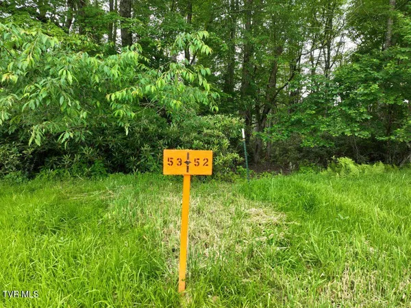 $186,000 | 1764 Ripshin Mountain Road, Unit 53, Roan Mountain, TN 37687