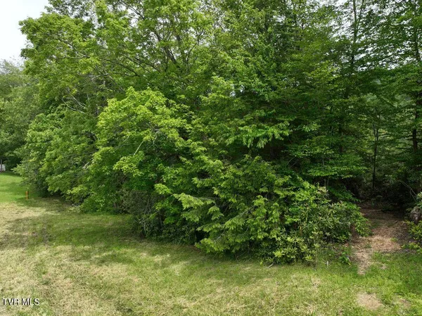 $186,000 | 1764 Ripshin Mountain Road, Unit 53, Roan Mountain, TN 37687