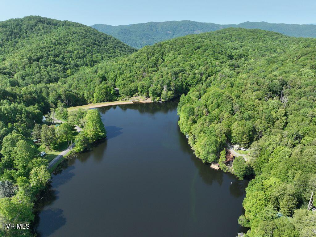 1764 Ripshin Mountain Road, Unit 53 Roan Mountain, TN 37687 - Photo 30 of 39 DJI_0869 (1)