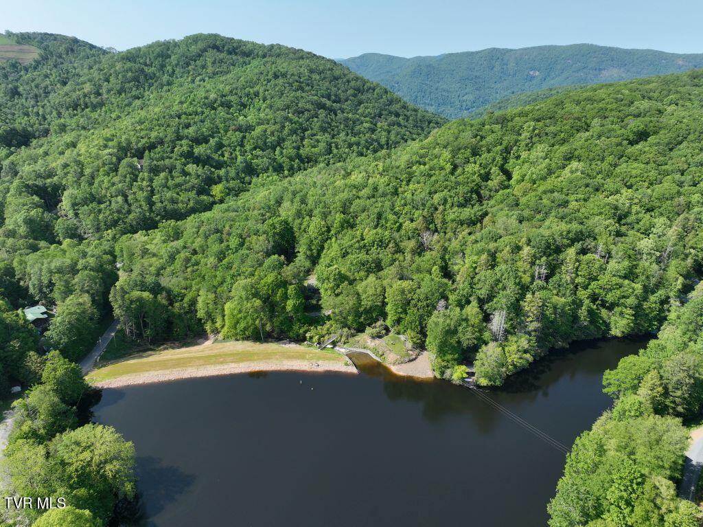 1764 Ripshin Mountain Road, Unit 53 Roan Mountain, TN 37687 - Photo 31 of 39 DJI_0872