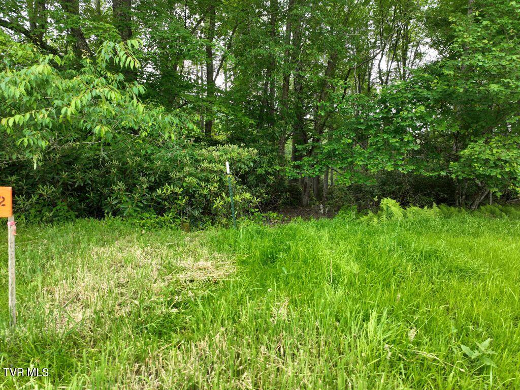 1764 Ripshin Mountain Road, Unit 53 Roan Mountain, TN 37687 - Photo 4 of 39 DJI_0064