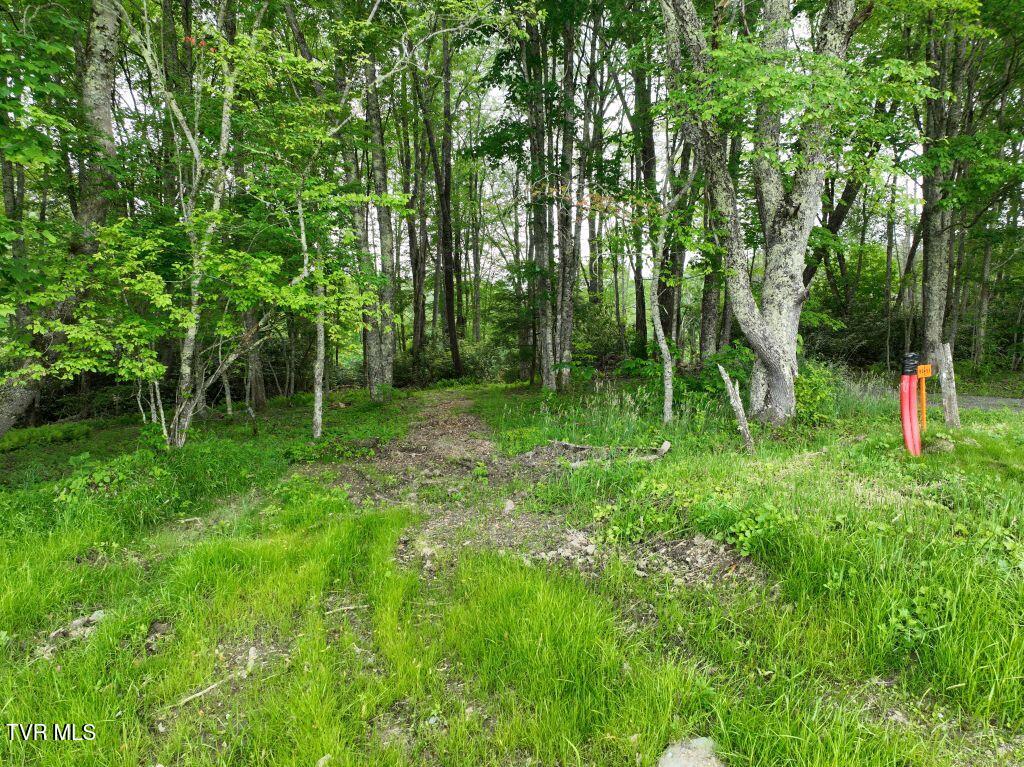 1764 Ripshin Mountain Road, Unit 53 Roan Mountain, TN 37687 - Photo 5 of 39 DJI_0066