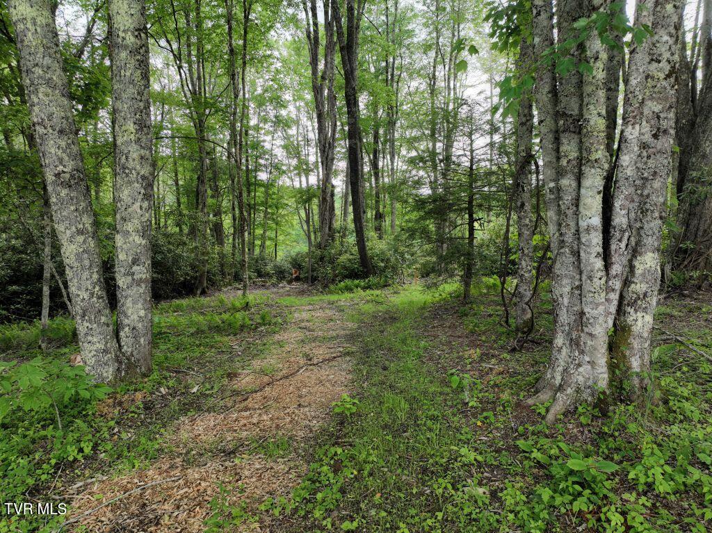 1764 Ripshin Mountain Road, Unit 53 Roan Mountain, TN 37687 - Photo 6 of 39 DJI_0068