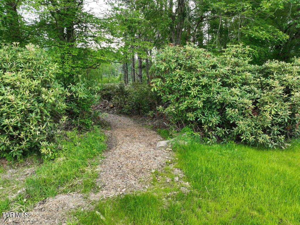 1764 Ripshin Mountain Road, Unit 53 Roan Mountain, TN 37687 - Photo 9 of 39 DJI_0077
