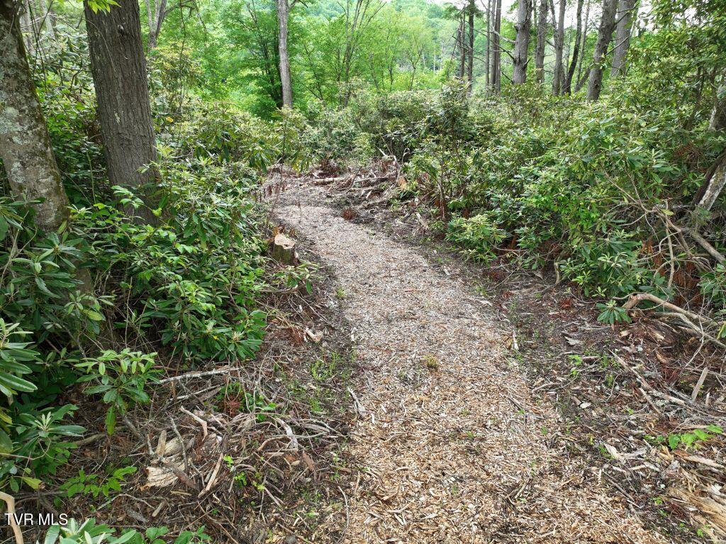 1764 Ripshin Mountain Road, Unit 53 Roan Mountain, TN 37687 - Photo 10 of 39 DJI_0079