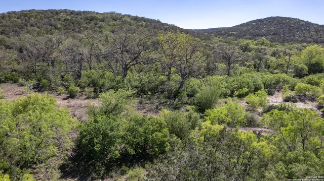 a view of a mountain range with trees in the background