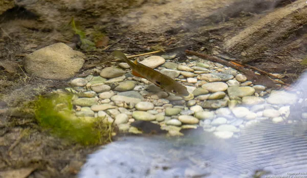 $198,000 | 8 Camino Del Rancho, Concan, TX 78838